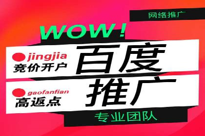 成功案例解析：SEM竞价托管运营策略